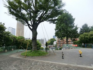 周辺環境:別所坂児童遊園 マンション第二恵比須苑
