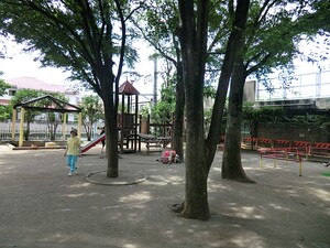 周辺環境:関根文化公園 杉並区上荻４丁目(8835万円)｜新築一戸建て｜住建ハウジング