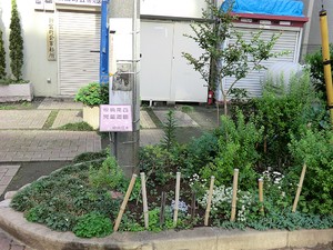 周辺環境:桜橋南西児童遊園 マンション(一棟) 中央区八丁堀４丁目 62300万円 八丁堀駅｜住建ハウジング