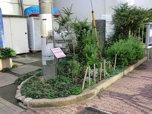 周辺環境:桜橋南西児童遊園 グラーサ銀座イースト