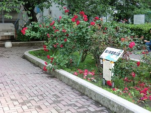 周辺環境:楓川新富橋公園 プラウド銀座東レジデンス