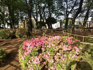 周辺環境:権現山公園 パークコート御殿山ジ・エスト