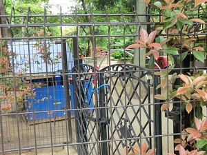 周辺環境:まきば幼稚園 アパート(一棟) 板橋区徳丸１丁目 シェアハウス 10500万円 東武練馬駅｜住建ハウジング