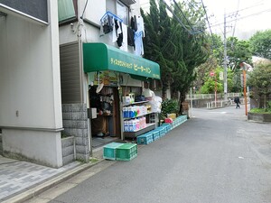 周辺環境:ピタパン 土地・売地 練馬区錦２丁目 14800万円 東武練馬駅｜住建ハウジング