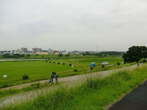 周辺環境:宇奈根公園 世田谷区鎌田１丁目(5980万円)｜中古一戸建て｜住建ハウジング