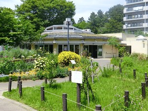 周辺環境:中目黒公園 マンション(区分) 目黒区中目黒１丁目 グランシティ中目黒 8800万円 中目黒駅｜住建ハウジング