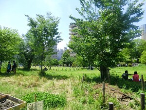 周辺環境:中目黒公園 朝日中目黒マンション