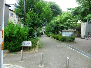 周辺環境:和田中央公園 中野富士見町パークハウス
