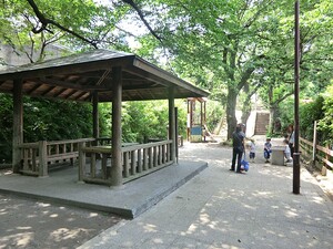 周辺環境:たぬき山公園 マンション(一棟) 品川区西大井４丁目 24000万円 馬込駅｜住建ハウジング