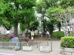 周辺環境:富士見台公園 ノヴァ目黒南