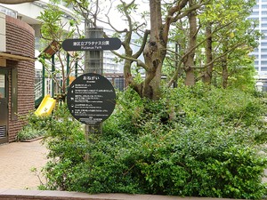 周辺環境:プラタナス公園 ベイクレストタワー