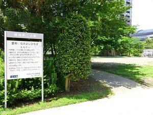 周辺環境:晴海第二公園 ザ・パークハウス晴海タワーズティアロレジデンス(17550万円)｜中古マンション（新築･中古）｜住建ハウジング