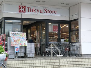 周辺環境:東急ストア洗足店 土地・売地 目黒区洗足２丁目 19800万円 洗足駅｜住建ハウジング