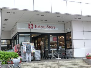 周辺環境:東急ストア洗足店 土地・売地 目黒区洗足２丁目 10500万円 洗足駅｜住建ハウジング