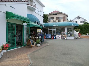 周辺環境:ナショナル田園 世田谷区奥沢５丁目(23800万円)｜土地・売地｜住建ハウジング