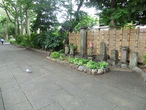 周辺環境:鷺草園 パラドール自由が丘