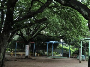 周辺環境:宮前公園 世田谷区深沢１丁目(11000万円)｜中古一戸建て｜住建ハウジング