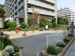 周辺環境:きたしん公園 マンション(区分) 新宿区西新宿５丁目 ザ・パークハウス西新宿タワー６０ 17000万円 西新宿駅｜住建ハウジング