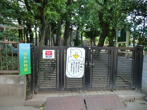 周辺環境:裕和幼稚園 新築一戸建て 杉並区清水３丁目 6990万円 荻窪駅｜住建ハウジング