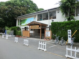 周辺環境:大宮幼稚園 グローリオ永福町和泉(5680万円)｜中古マンション（新築･中古）｜住建ハウジング