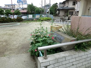 周辺環境:熊野橋児童遊園 新築一戸建て 杉並区堀ノ内２丁目 6380万円 方南町駅｜住建ハウジング