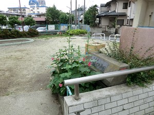 周辺環境:熊野橋児童遊園 アパート(一棟) 杉並区堀ノ内２丁目 6000万円 方南町駅｜住建ハウジング