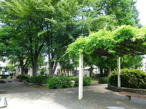 周辺環境:下高井戸西公園 杉並区下高井戸５丁目(7980万円)｜新築一戸建て｜住建ハウジング