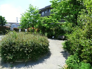 周辺環境:桜上水五丁目公園 マンション(一棟) 世田谷区桜上水１丁目 ハイツＲ＆Ｓ 9200万円 桜上水駅｜住建ハウジング