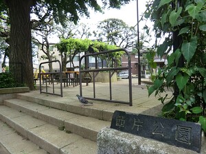 周辺環境:西片公園 土地・売地 文京区西片１丁目 82000万円 春日駅｜住建ハウジング