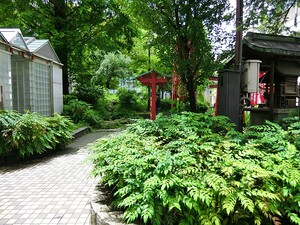周辺環境:佐久間公園 土地・売地 千代田区岩本町３丁目 19800万円 岩本町駅｜住建ハウジング