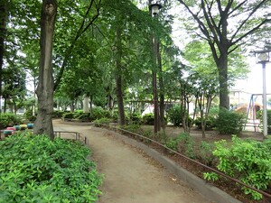 周辺環境:浜田山公園 杉並区高井戸東３丁目(31800万円)｜中古一戸建て｜住建ハウジング