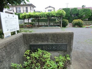 周辺環境:桐の木公園 土地・売地 杉並区高井戸西２丁目 7480万円 富士見ケ丘駅｜住建ハウジング