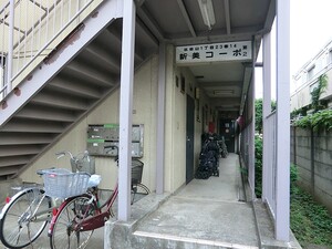 周辺環境:こぶし保育室 土地・売地 杉並区浜田山１丁目 6480万円 西永福駅｜住建ハウジング