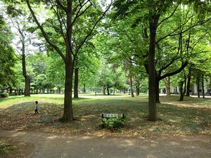 周辺環境:戸山公園 土地・売地 新宿区戸山３丁目 23800万円 西早稲田駅｜住建ハウジング