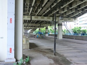 周辺環境:竪川親水公園 パークタワー亀戸ステーションアリーナ