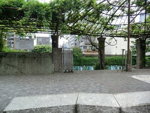 周辺環境:亀戸水上公園 イニシア錦糸町