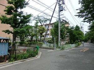 周辺環境:八幡山保育園 土地・売地 杉並区上高井戸１丁目 7560万円 芦花公園駅｜住建ハウジング