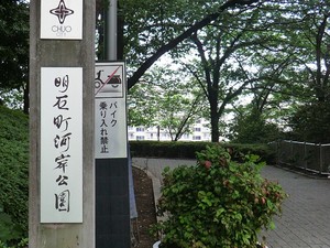 周辺環境:明石町河岸公園 シティフロントタワー