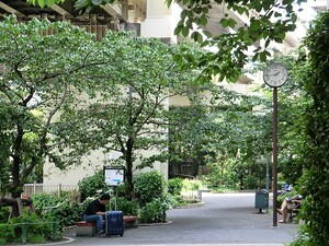 周辺環境:新広尾公園 マンション(区分) 港区麻布十番３丁目 キャッスルマンション麻布 9600万円 麻布十番駅｜住建ハウジング