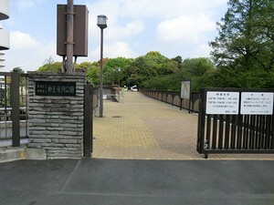 周辺環境:妙正寺川公園 中古一戸建て 新宿区西落合２丁目 6480万円 落合南長崎駅｜住建ハウジング