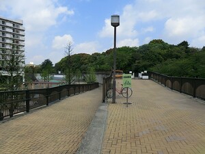 周辺環境:妙正寺川公園 ランドワーフ哲学堂公園