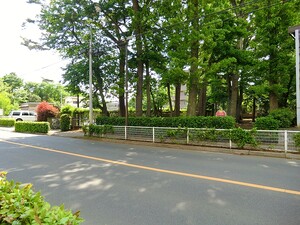 周辺環境:くぬぎ公園 パークシティ武蔵野桜堤フォレストハウスＢ