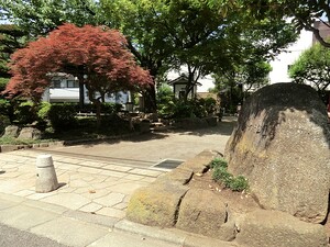 周辺環境:しいのき公園 カーサフェリス洗足