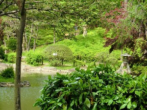 周辺環境:有栖川宮記念公園 広尾ガーデンフォレストＨ棟
