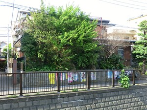 周辺環境:松野医院 アパート(一棟) 中野区鷺宮４丁目 16300万円 鷺ノ宮駅｜住建ハウジング