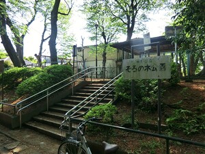 周辺環境:そろの木公園 エクレールガーデン鷺ノ宮