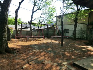 周辺環境:そろの木公園 中野区白鷺２丁目(4780万円)｜新築一戸建て｜住建ハウジング