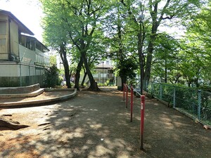 周辺環境:そろの木公園 新築一戸建て 中野区白鷺２丁目 5180万円 鷺ノ宮駅｜住建ハウジング