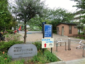 周辺環境:若宮オリブ公園 中野区大和町４丁目(6480万円)｜新築一戸建て｜住建ハウジング