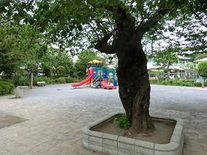 周辺環境:若宮オリブ公園 新築一戸建て 中野区白鷺２丁目 5480万円 鷺ノ宮駅｜住建ハウジング
